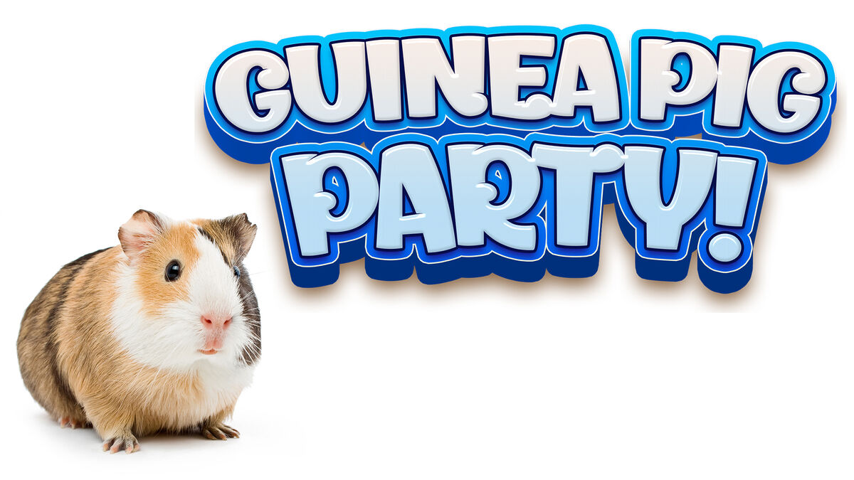 Guinea Pig Party Game image number null